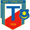 Tarnovia Tarnów - koszykówka mężczyzn herb.png