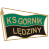 Herb_Górnik Lędziny
