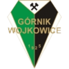 Herb_Górnik Wojkowice