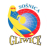 Sośnica Gliwice - piłka ręczna kobiet herb.png