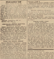 Nowy Dziennik 1929-11-12 303.png