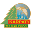 Herb_Karpaty Siepraw