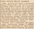 Nowy Dziennik 1938-11-12 310.png