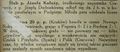 Przegląd Sportowy 1923-02-09 foto 4.jpg