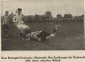 Sportblatt 1913-05-31 Cracovia Eintracht