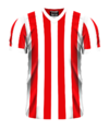 1990-91 home.png