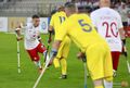 2021-09-12 Polska - Ukraina Amp Futbol 102.JPG