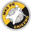 MKS PR Gniezno - piłka ręczna kobiet herb.png