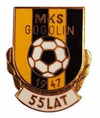 MKS Gogolin - piłka ręczna kobiet herb.png