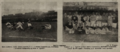 Nowości Ilustrowane 1917-05-12 19 5pp.png