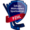 SMS PZHL Katowice - hokej mężczyzn herb.png